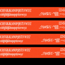 ll-riptide-retro-serif-font-lives-and-levels-15.png