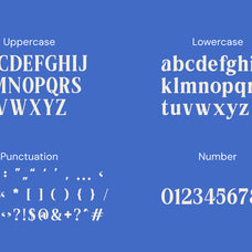locanara-display-serif-font-rasio-std-2.jpg