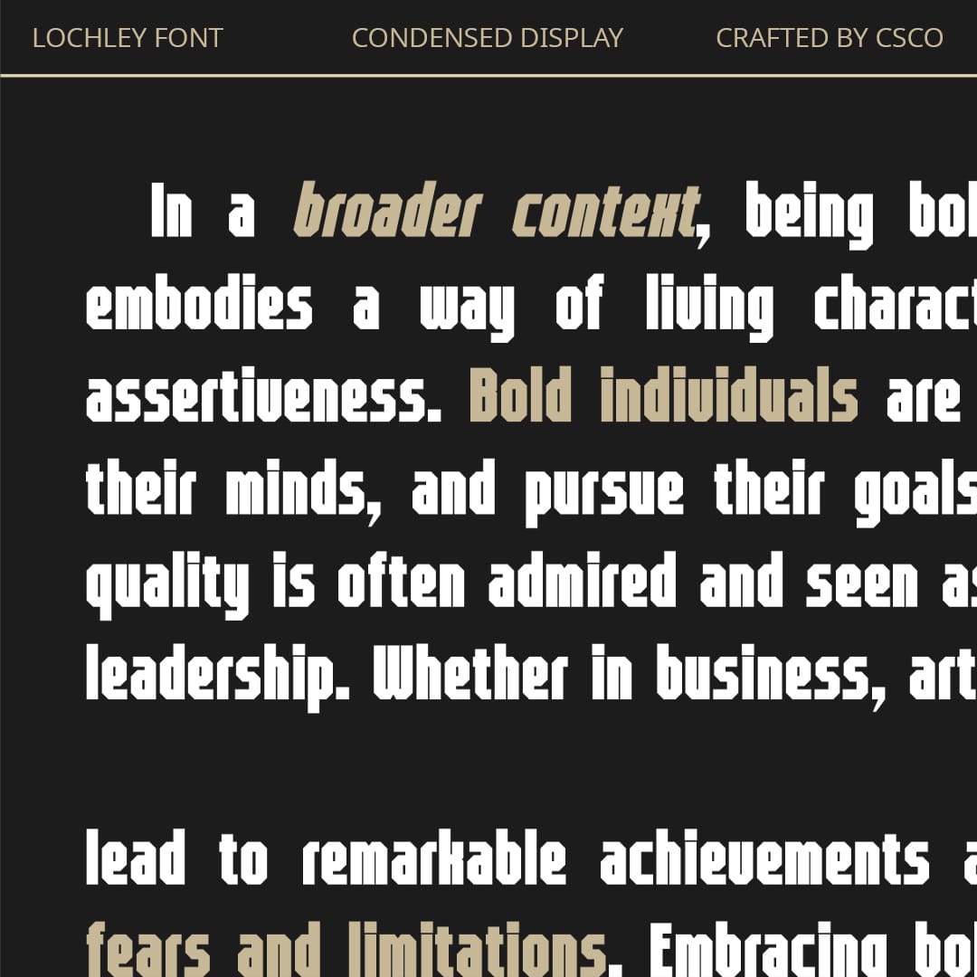 lochley-condensed-font-craft-supply-co-3.jpg