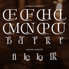 lonika-modern-elegant-editorial-serif-font-unknown-creator-3.png