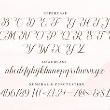 lovely-girl-a-chic-script-font-unknown-creator-10.jpg