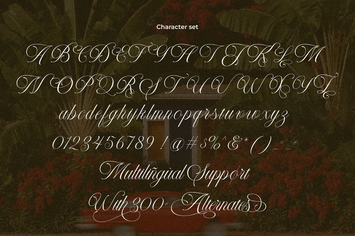 lt-nouvelle-jardin-romantic-script-luminotype-11.jpg