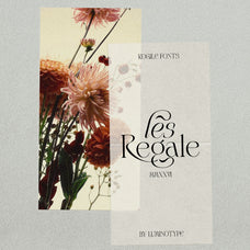lt-rogile-modern-serif-typeface-luminotype-12.jpg