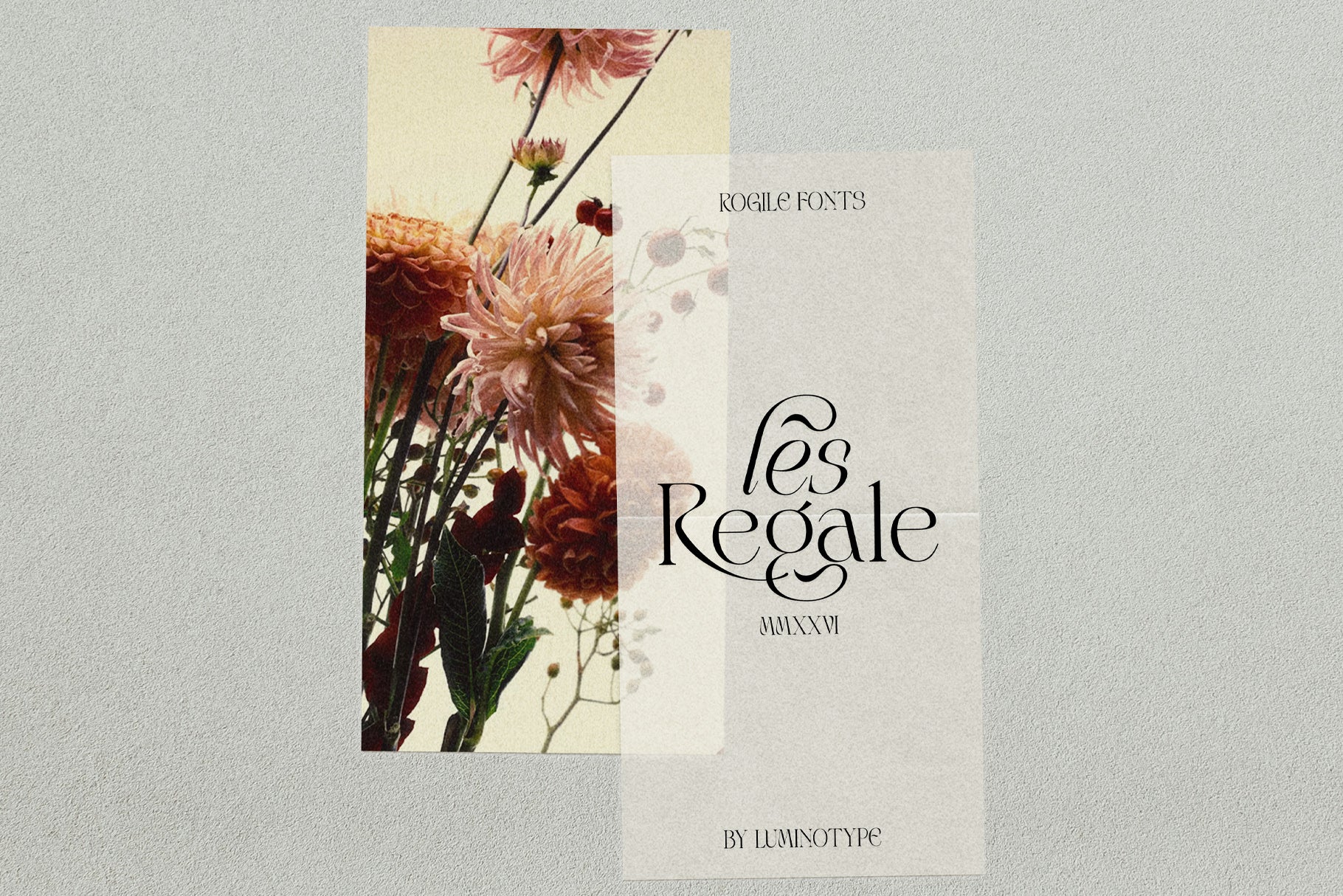 lt-rogile-modern-serif-typeface-luminotype-12.jpg