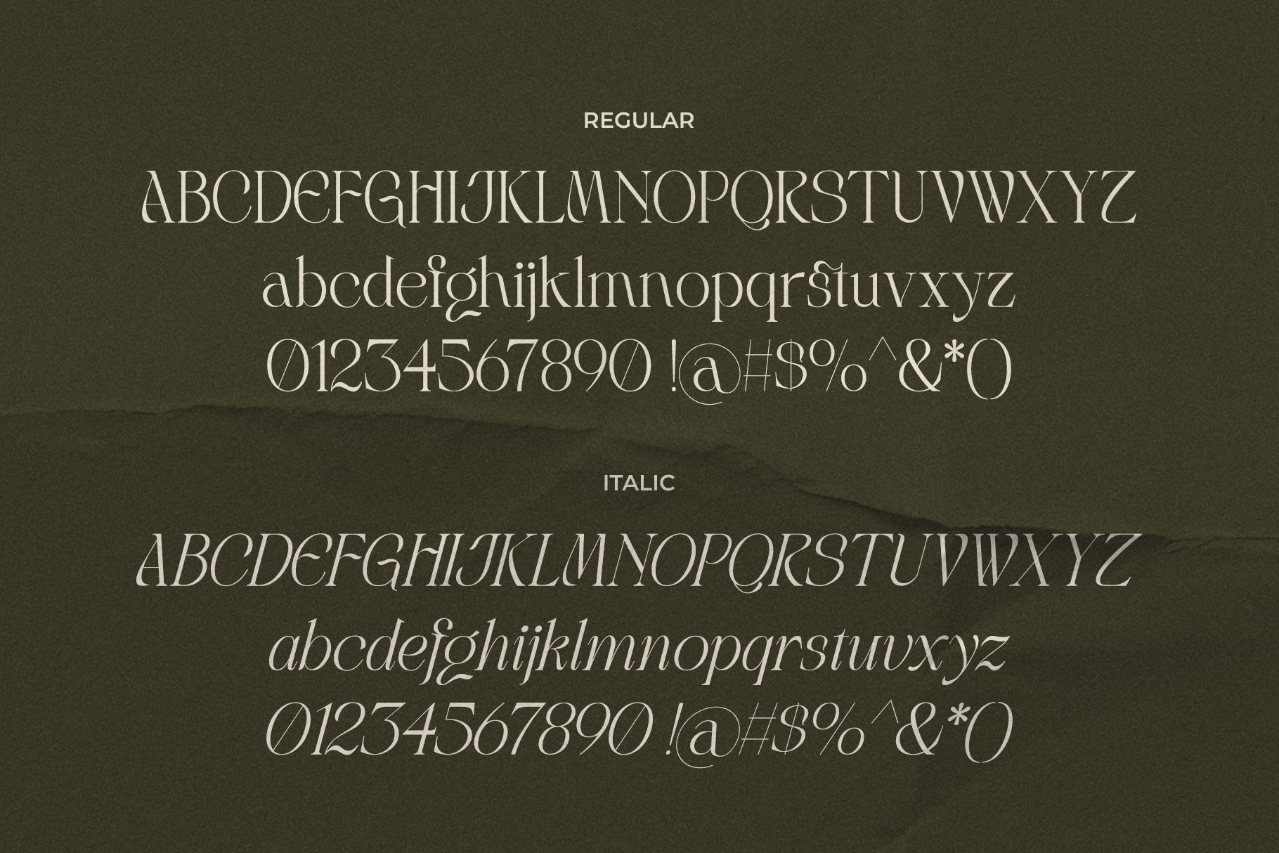 lt-rogile-modern-serif-typeface-luminotype-17.jpg