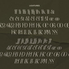 lt-rogile-modern-serif-typeface-luminotype-18.jpg