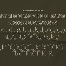 lt-rogile-modern-serif-typeface-luminotype-19.jpg