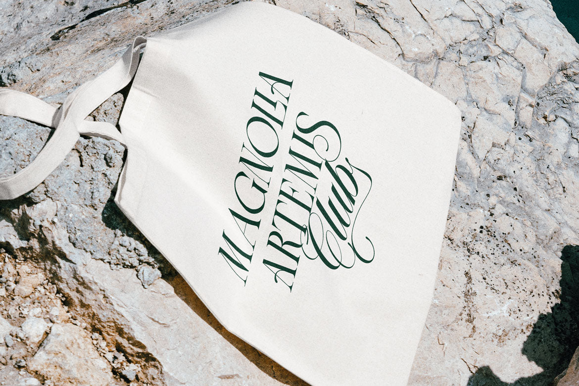 lt-the-heistha-editorial-font-duo-luminotype-15.jpg
