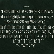 lt-the-heistha-editorial-font-duo-luminotype-16.jpg