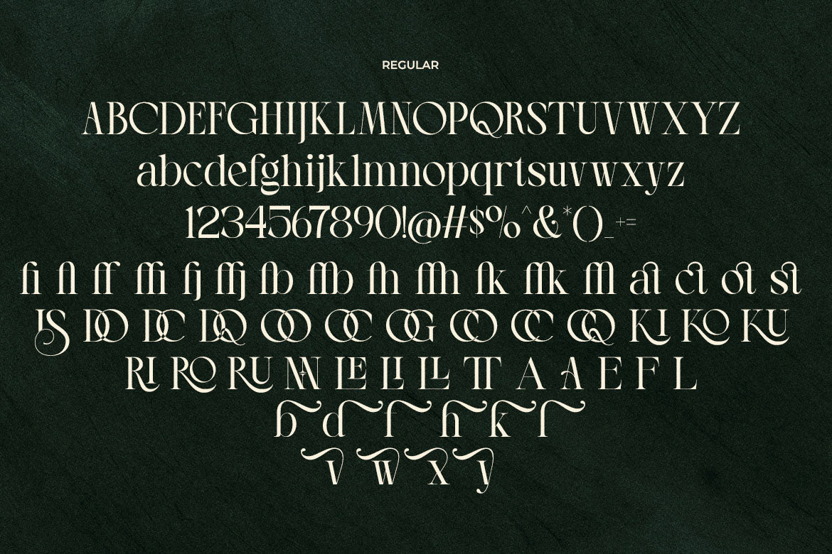 lt-the-heistha-editorial-font-duo-luminotype-16.jpg