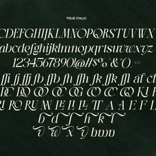 lt-the-heistha-editorial-font-duo-luminotype-17.jpg