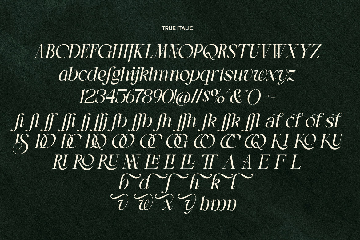 lt-the-heistha-editorial-font-duo-luminotype-17.jpg