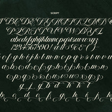 lt-the-heistha-editorial-font-duo-luminotype-18.jpg