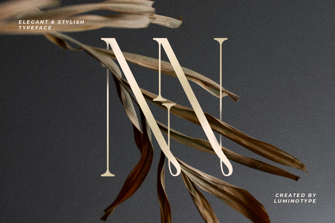 lt-verola-rich-serif-ligature-typeface-luminotype-10.jpg