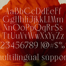 lt-verola-rich-serif-ligature-typeface-luminotype-12.jpg