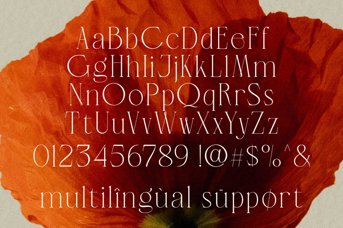 lt-verola-rich-serif-ligature-typeface-luminotype-12.jpg