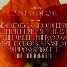 lt-verola-rich-serif-ligature-typeface-luminotype-13.jpg