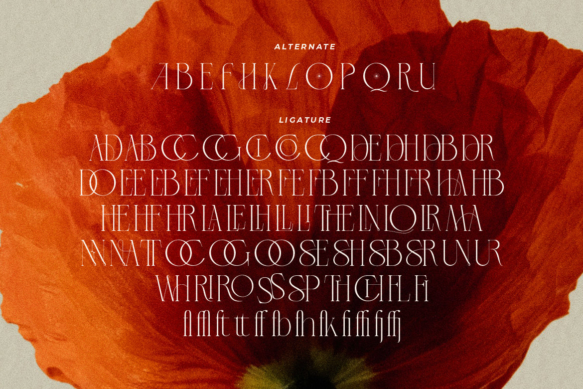 lt-verola-rich-serif-ligature-typeface-luminotype-13.jpg