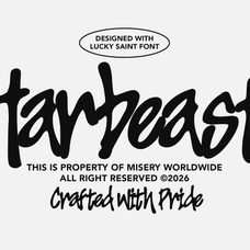 lucky-saint-a-bold-editorial-handwriting-font-unknown-creator-6.png