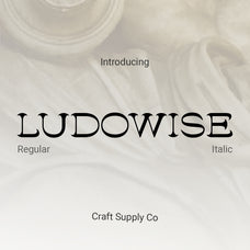 ludowise-contemporary-serif-craft-supply-co-1.jpg