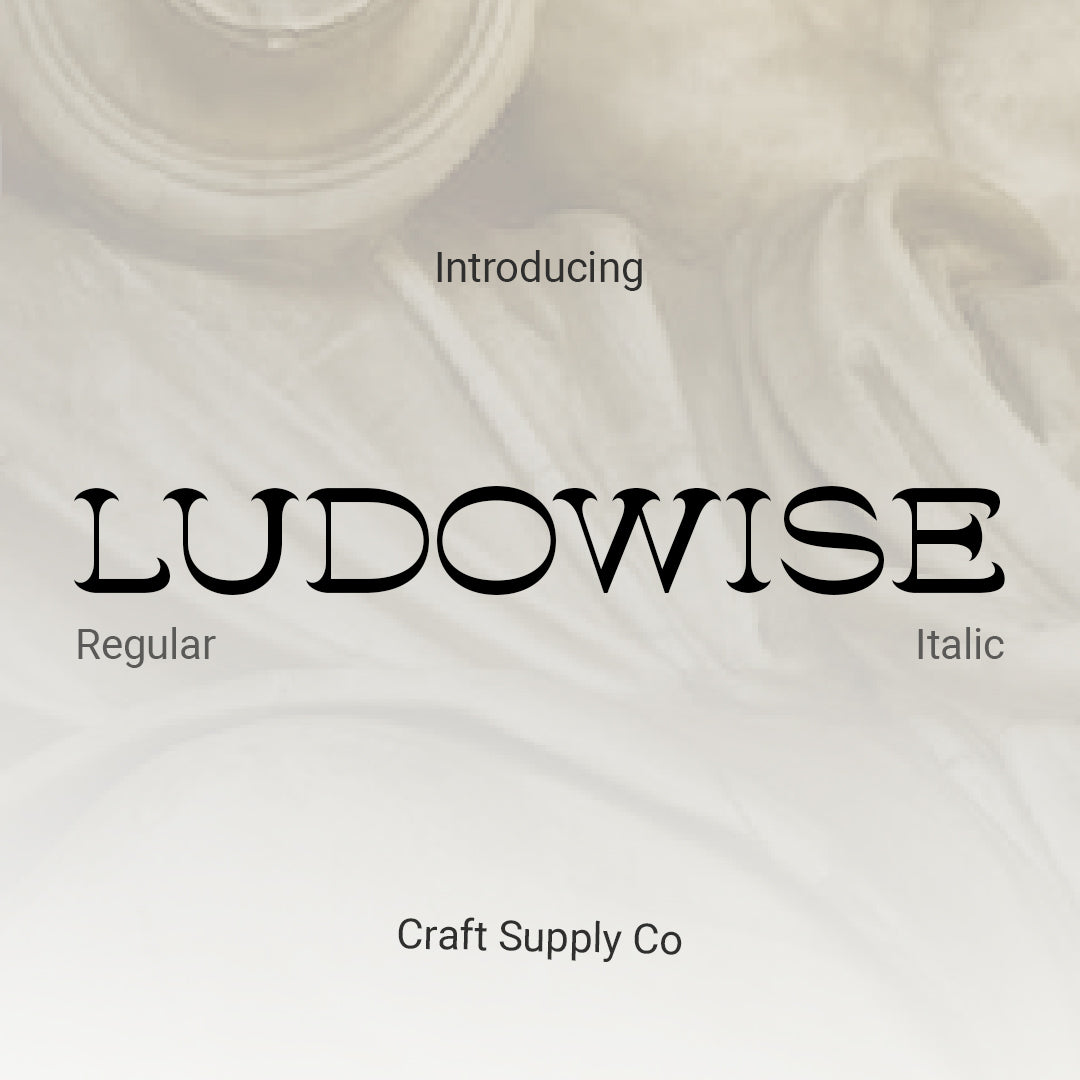 ludowise-contemporary-serif-craft-supply-co-1.jpg
