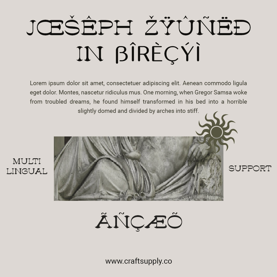 ludowise-contemporary-serif-craft-supply-co-7.jpg
