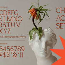 lugano-creative-serif-font-vadova-studio-2.jpg