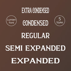 lumien-display-serif-craft-supply-co-2.jpg