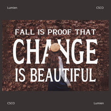 lumien-display-serif-craft-supply-co-5.jpg