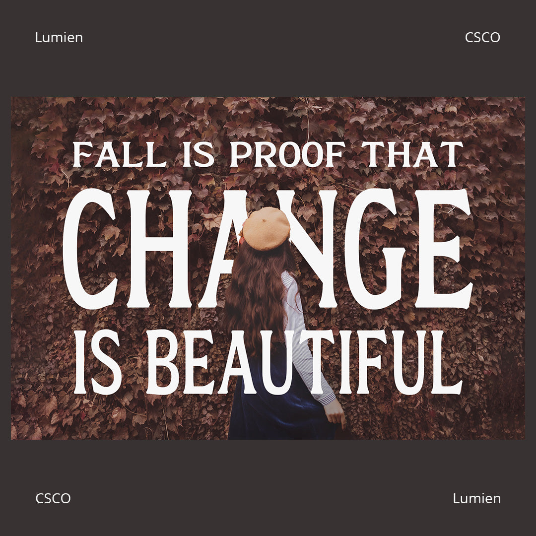 lumien-display-serif-craft-supply-co-5.jpg