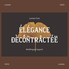 lumien-display-serif-craft-supply-co-6.jpg