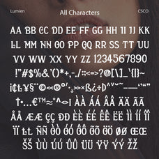 lumien-display-serif-craft-supply-co-8.jpg