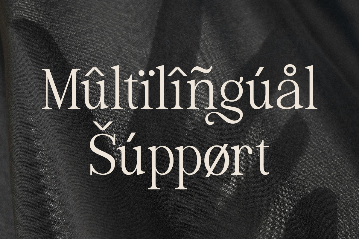 luxeline-luxury-ligature-serif-font-say-studio-11.png