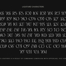 luxury-charm-modern-ligature-font-sarid-ezra-9.jpg