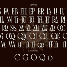 luxury-ligature-serif-font-linneva-say-studio-10.png