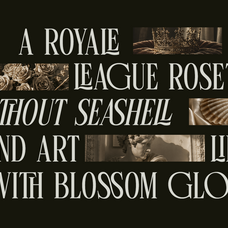 luxury-ligature-serif-font-linneva-say-studio-6.png