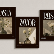 luxury-ligature-serif-font-linneva-say-studio-8.png