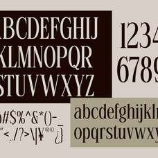luxury-ligature-serif-font-linneva-say-studio-9.png
