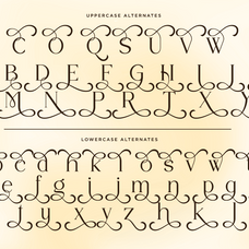 luxury-serif-font-sylvian-say-studio-10.png