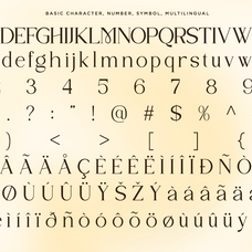 luxury-serif-font-sylvian-say-studio-9.png