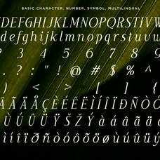 luxury-wedding-serif-font-moelania-say-studio-8.png