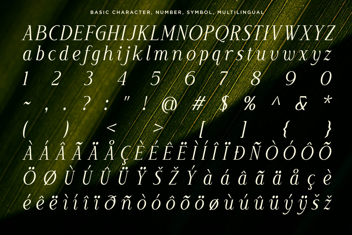 luxury-wedding-serif-font-moelania-say-studio-8.png