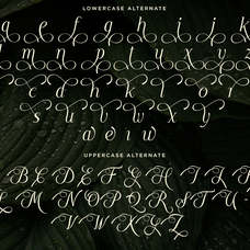 luxury-wedding-serif-font-moelania-say-studio-9.png