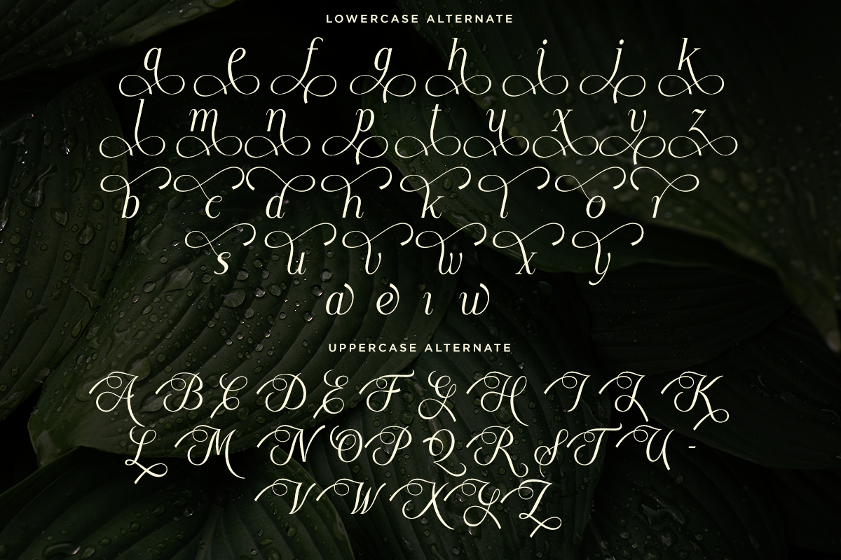 luxury-wedding-serif-font-moelania-say-studio-9.png