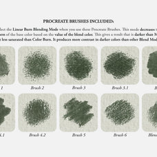Madame Le Brun Procreate Kit
