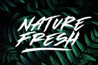 Made by Bears - Font