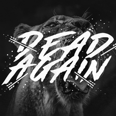 Made by Bears - Font