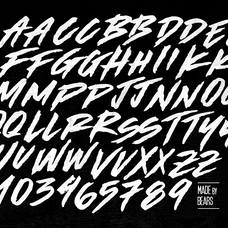 Made by Bears - Font