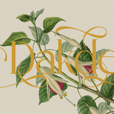 madhik-bagimar-elegant-luxury-serif-font-enxyclo-studio-11.png