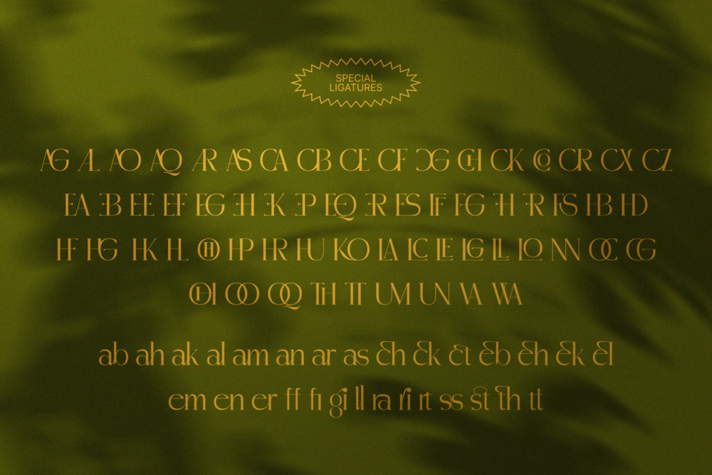 madhik-bagimar-elegant-luxury-serif-font-enxyclo-studio-17.png